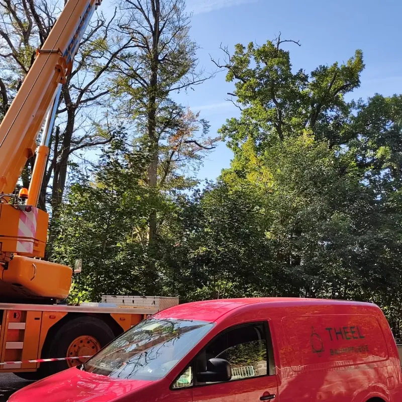 Kranfällung: Autokran und roter Firmenwagen von Theel Baumpflege